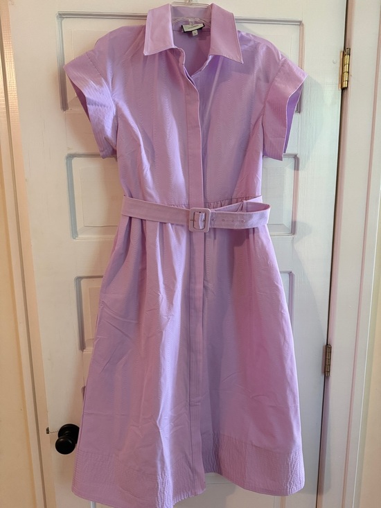 Tuckernuck Dresses & Skirts - Tuckernuck Lavender Chloe Dress with Belt